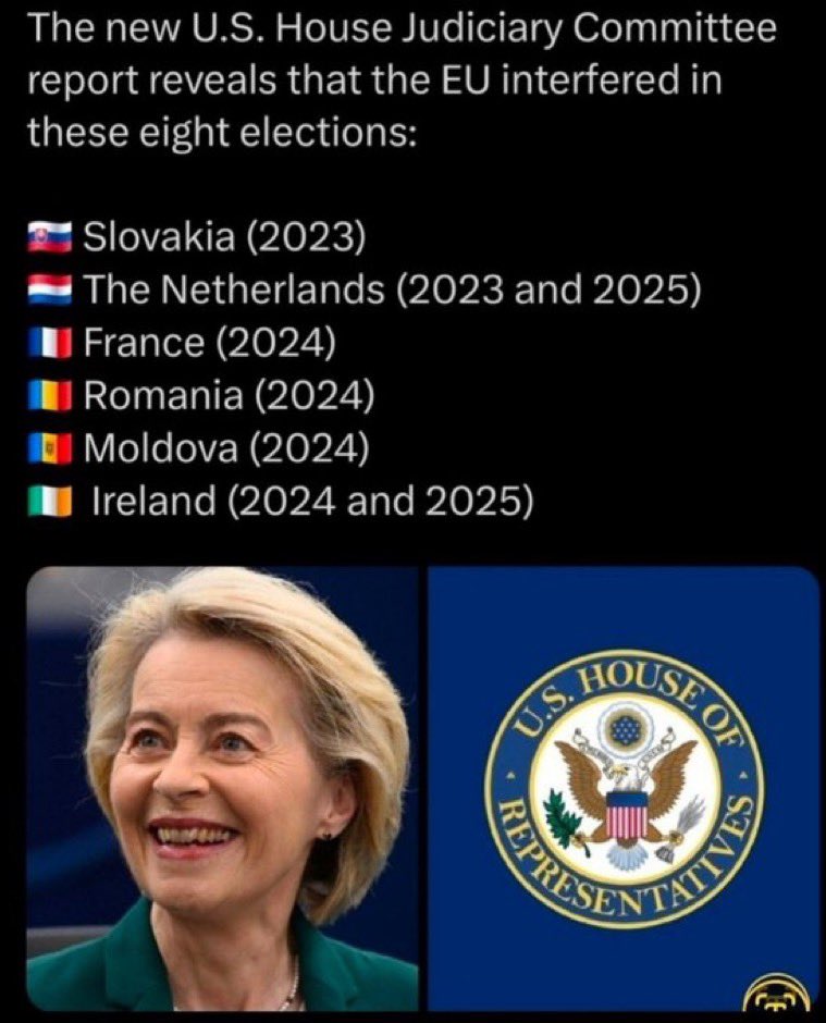 DinieStrijker tweet media