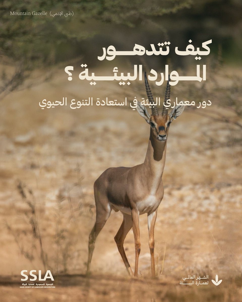 الجمعية السعودية لعمارة البيئة (SSLA) tweet media