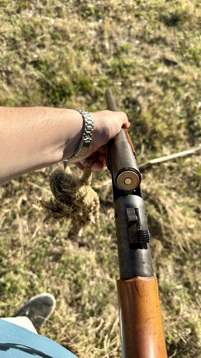 Augusto Rodriguez 🇦🇷 tweet media