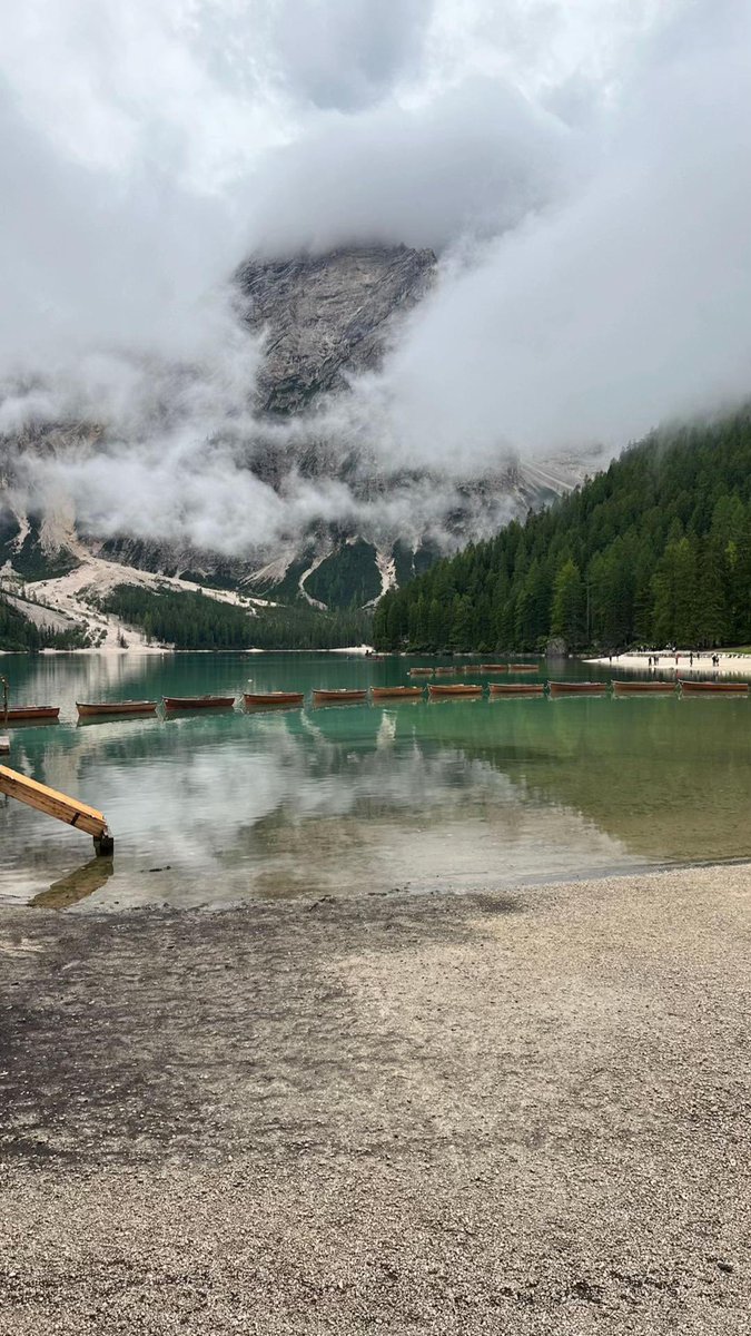 فنادق وأكثر tweet media