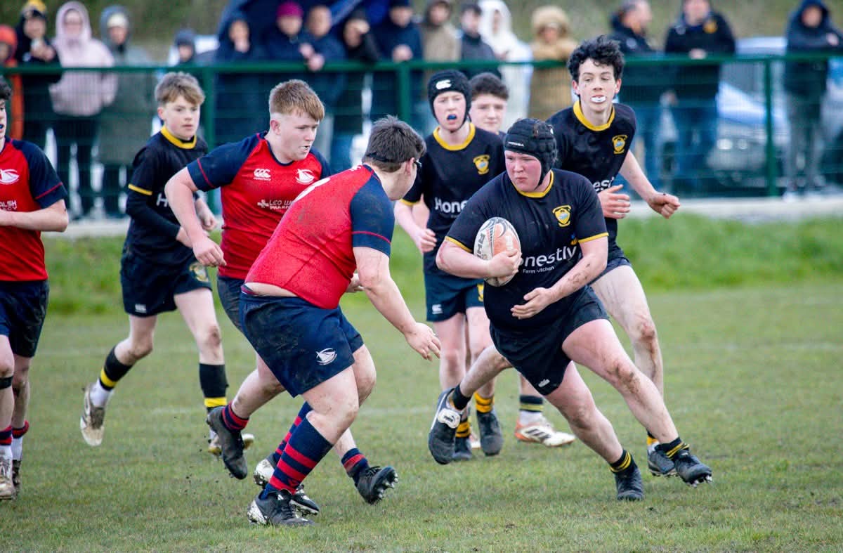 CarrickonShannon RFC 🖤💛🏉 tweet media
