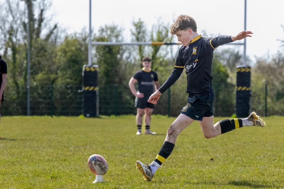CarrickonShannon RFC 🖤💛🏉 tweet media