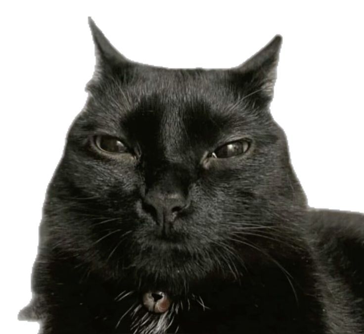 tô com ciúme do povo conhecendo affair e minhas lmsy