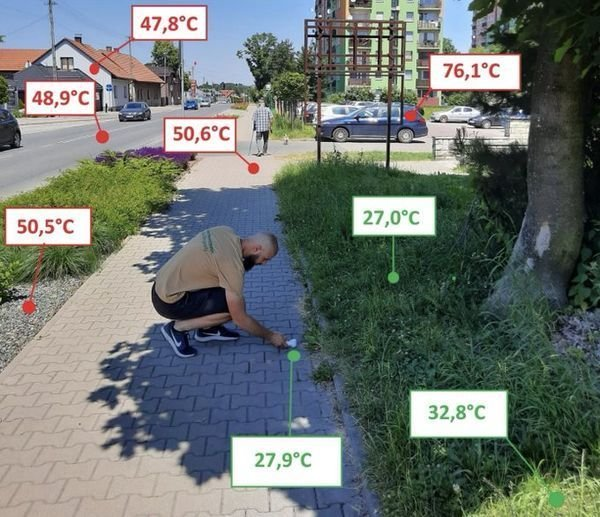 Alexander Roehr tweet media