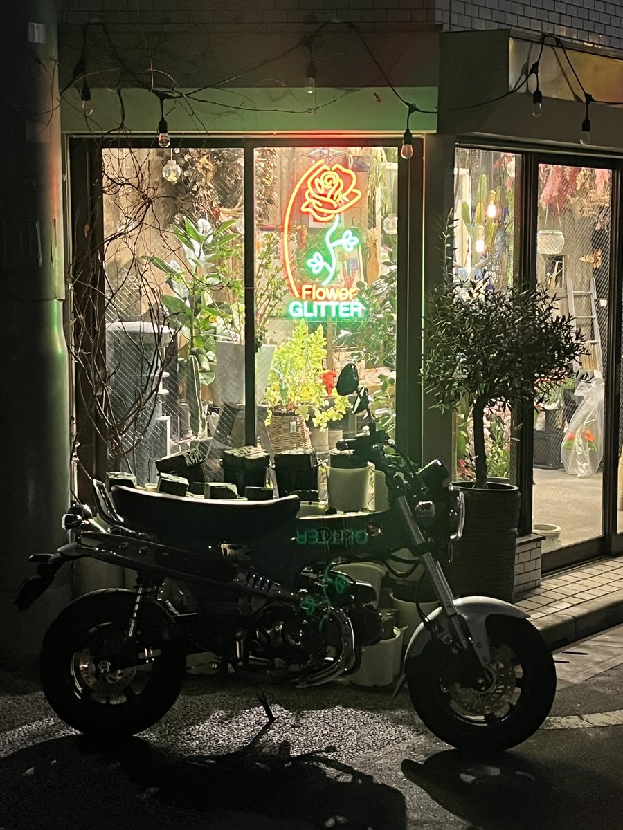 Ben⊿ 🐵🐶🐻+🚐&🦅(🔥🌪️)+🦢 tweet media