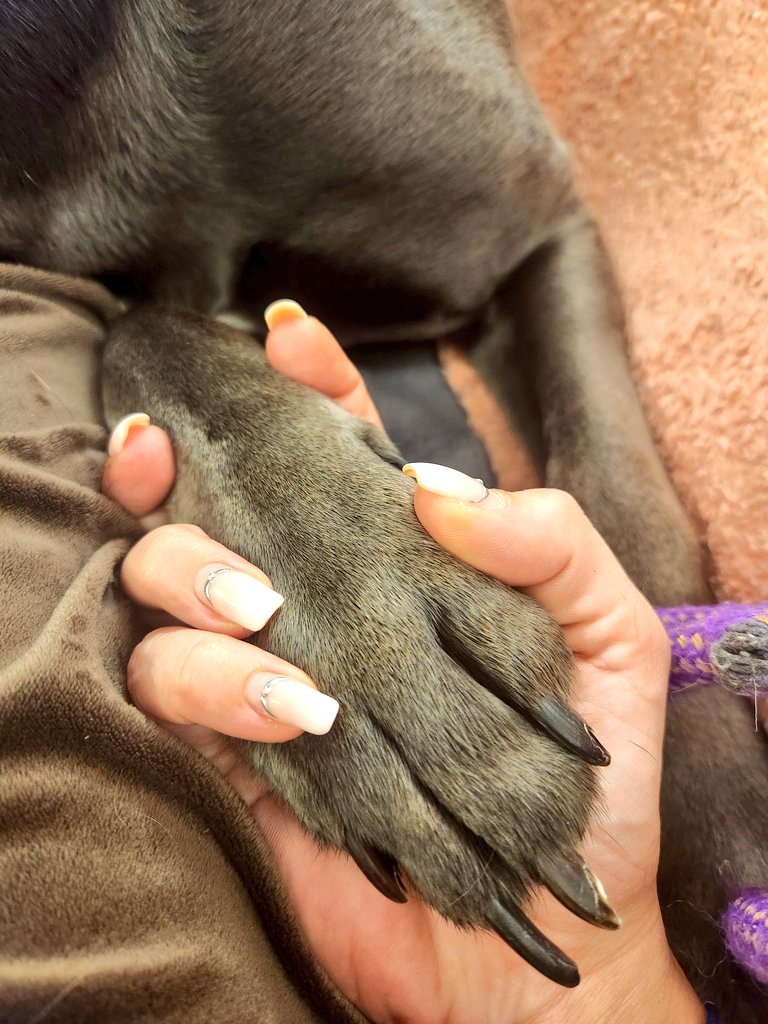 $eBn£m&1907💛💙 tweet media