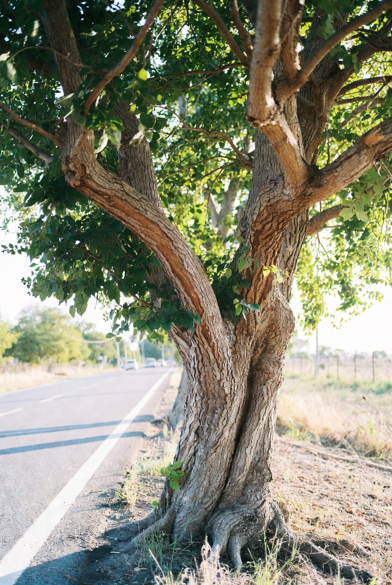RoadRevelation's tweet image. Every revelation requires a little discomfort. 
That’s how we stretch. 
Where is God stretching you right now?
#RoadToRevelation #DeepThoughts