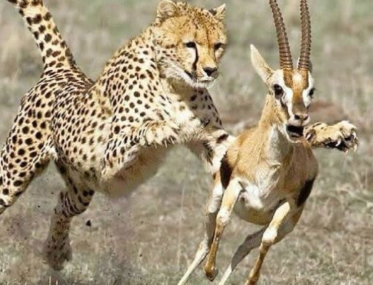 𝐧𝐢𝐡𝐚𝐝 ☻︎ tweet media