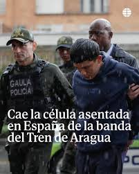 VOLVERE🇪🇸✝⚔⚖🥋 tweet media