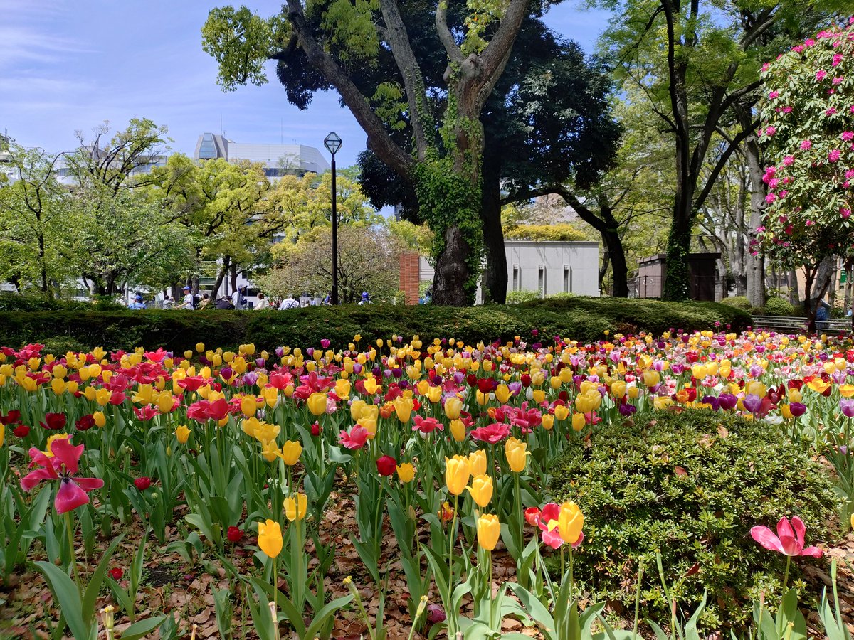 あひ～ル🦆 tweet media