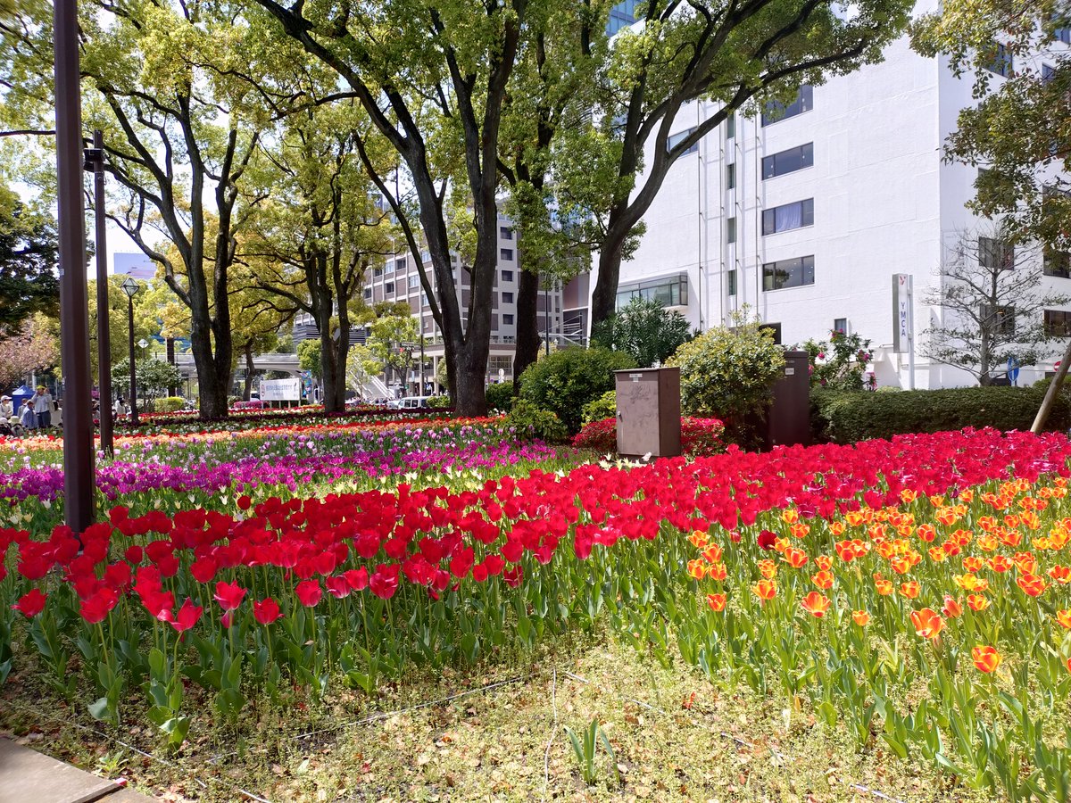 あひ～ル🦆 tweet media