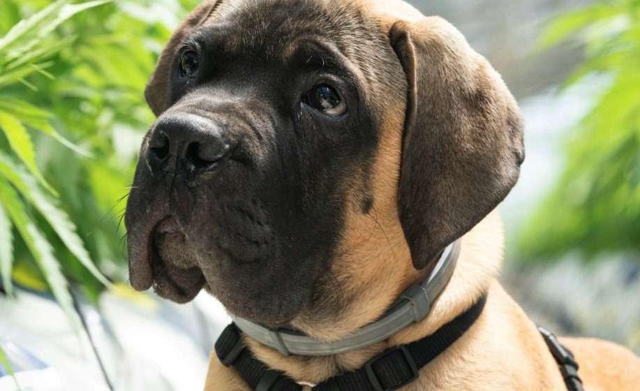 Carver Johns tweet media