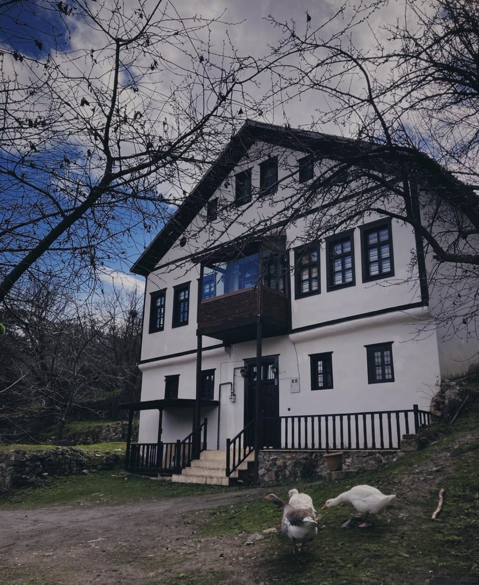 Cihan Aydın tweet media