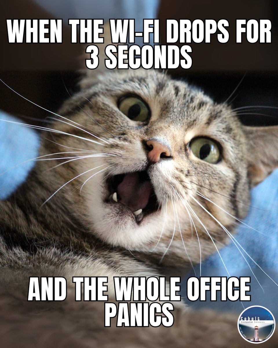 cobalt_services's tweet image. #ITMemes

When the Wi-Fi drops for 3 seconds...

And the whole office panics...

When Wi-Fi goes down, even the calmest office turns into chaos. Don’t let tech hiccups slow you down—Cobalt Computer Services keeps your connection steady and stress-free.
#catmemes
