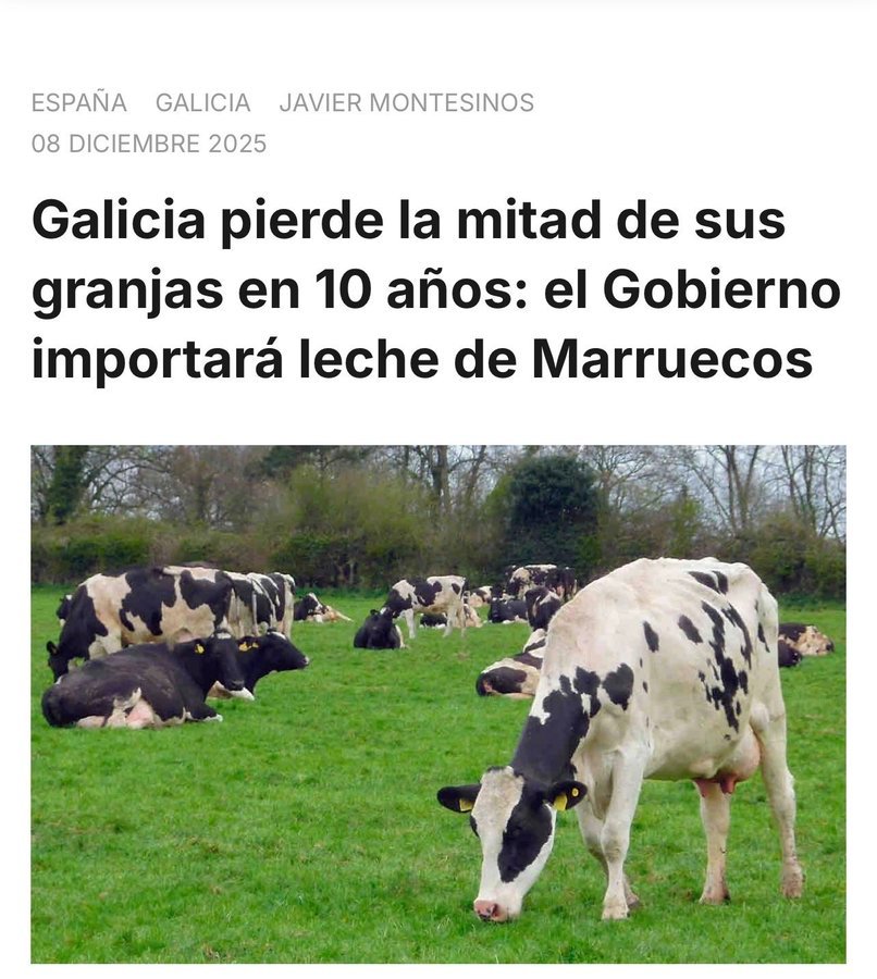 Constitución Española de 1978 tweet media