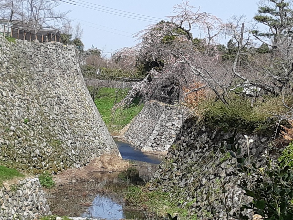 藤麿呂　(鉦鼓洞主) tweet media