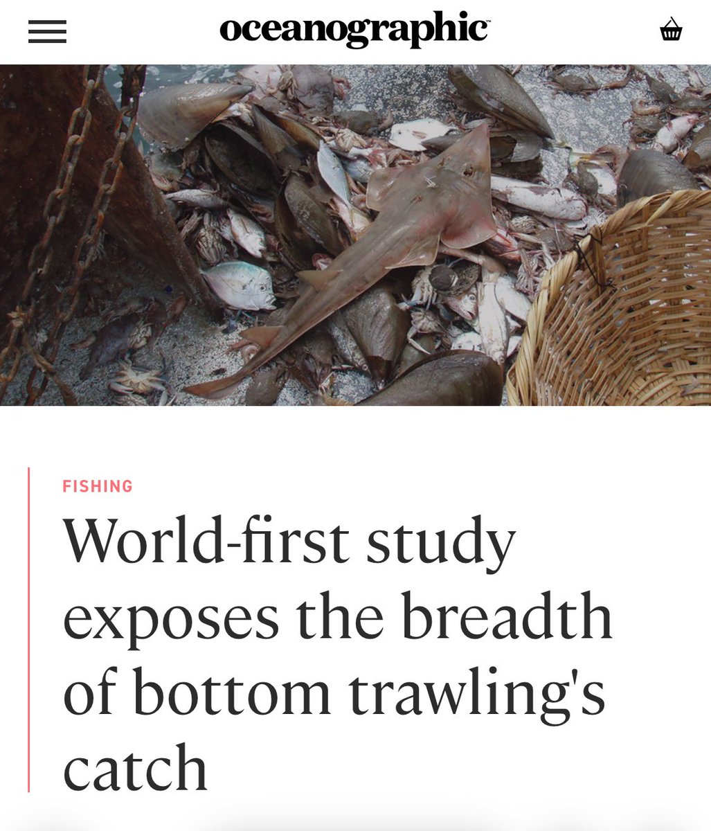 spencer 🦈 tweet media