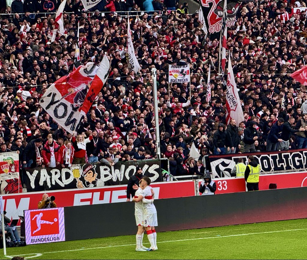 Mario Leo tweet media