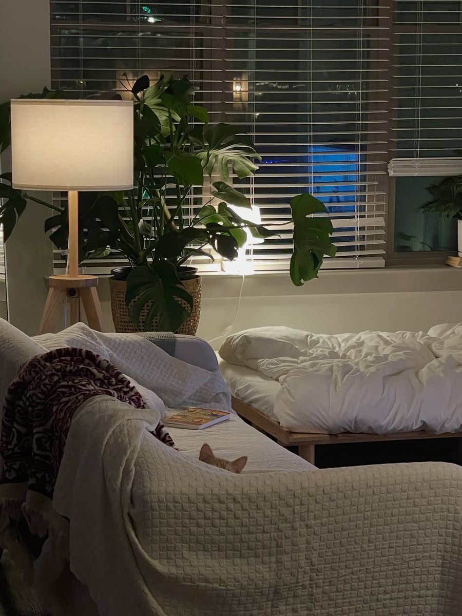 Kofi Sark ➐ tweet media