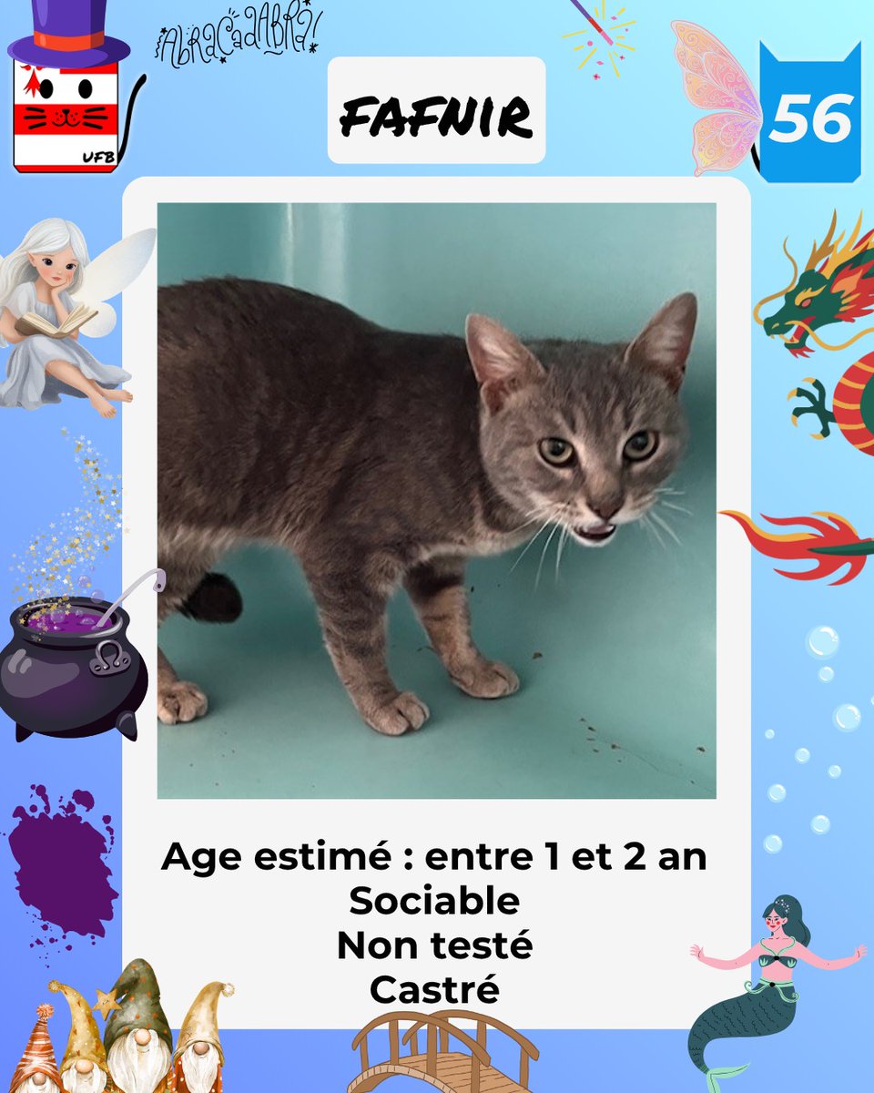 justine44 tweet media