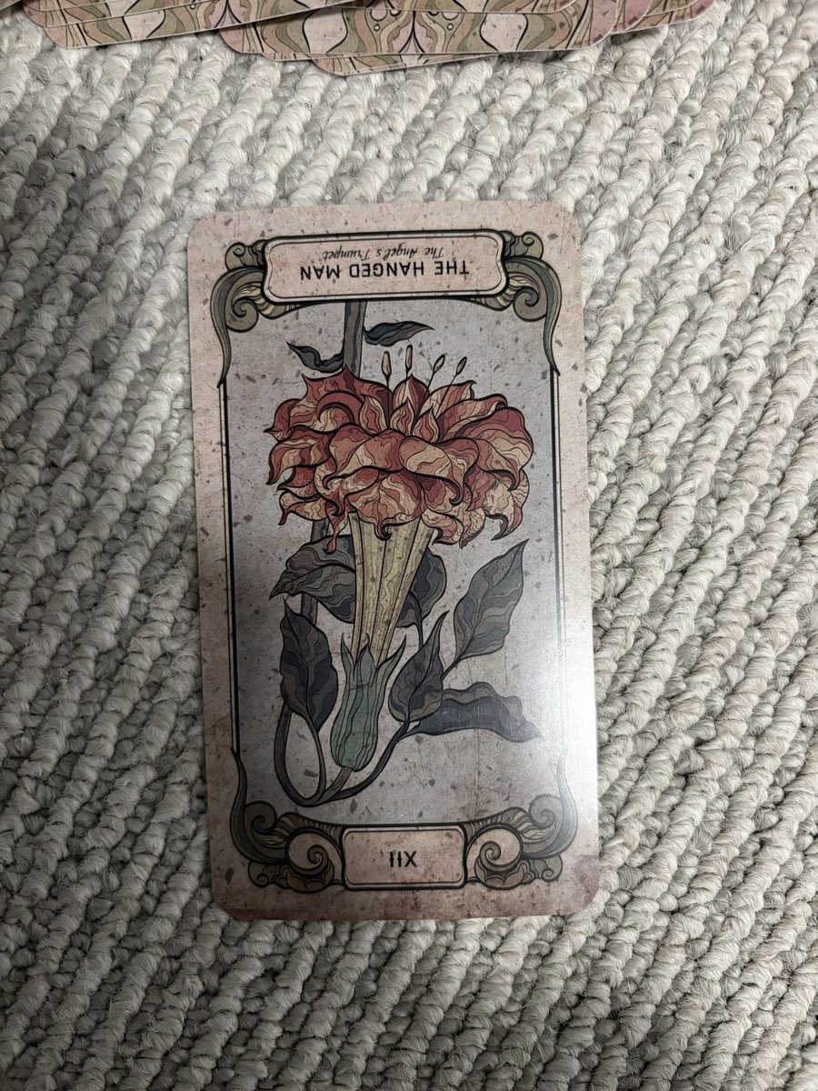 sono oku tweet media