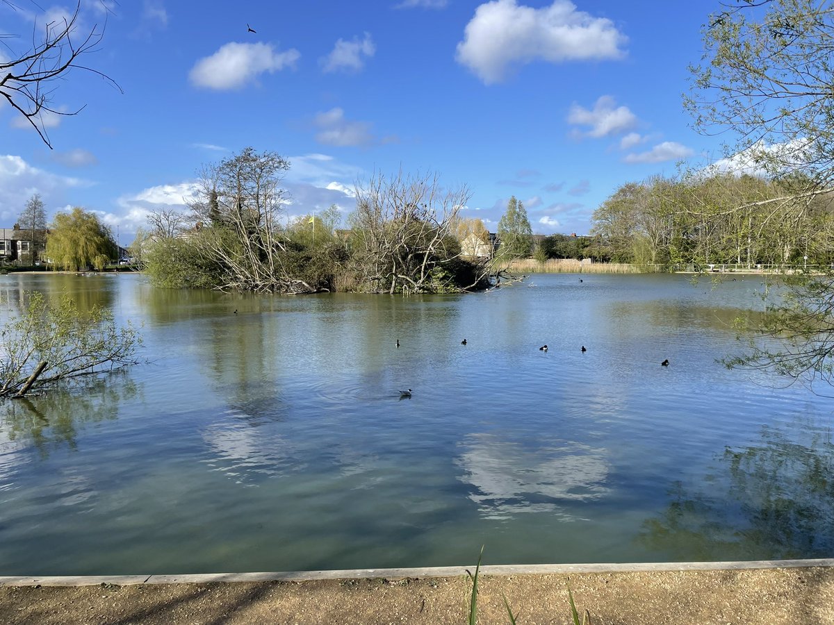 Allan Noble tweet media