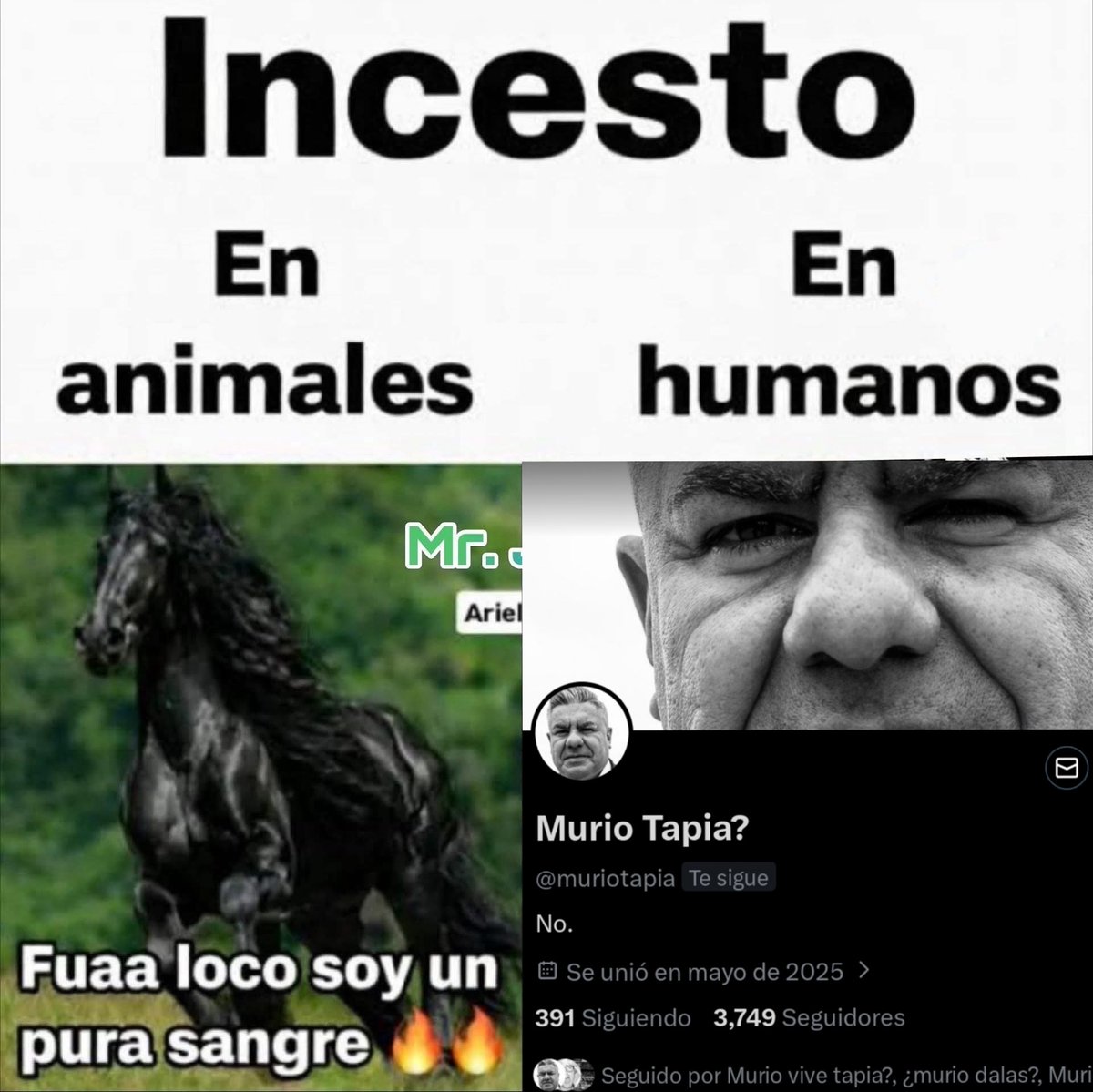 vive tapia? tweet media