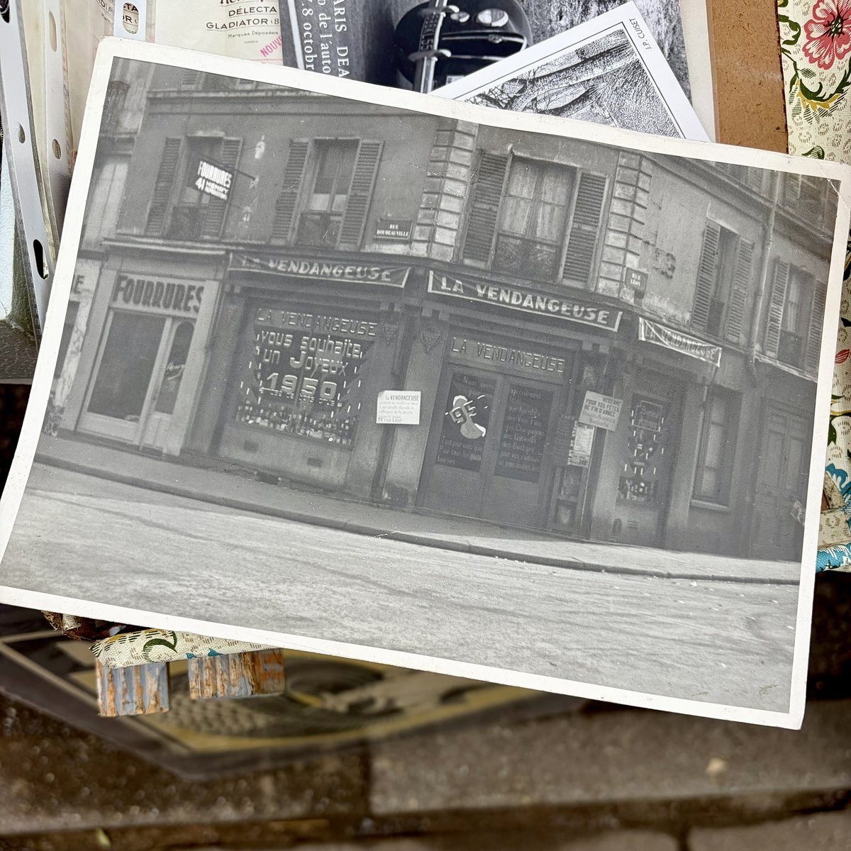 Giorgio Kaplanito  tweet media