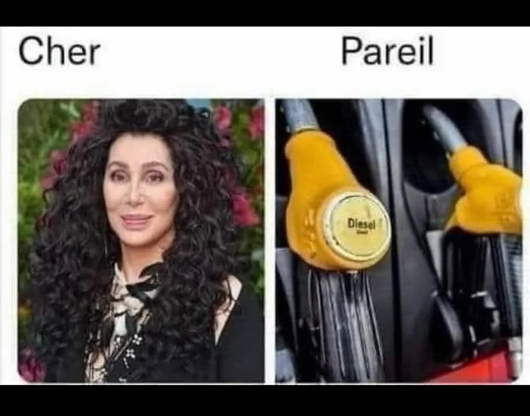 Sofia 🇫🇷🇵🇹🇵🇸 tweet media