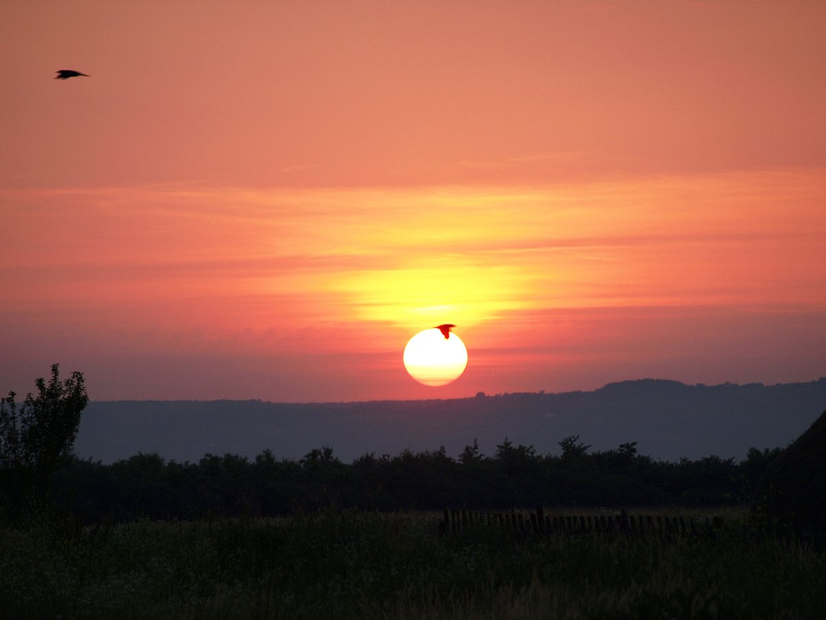 RadioNoOneCares's tweet photo. An old picture of a sunset in Romania
It was a crow on the way and I would like to thank him for that
#radionoonecares #romania #sunset #crow https://t.co/Jzik5JPXYs