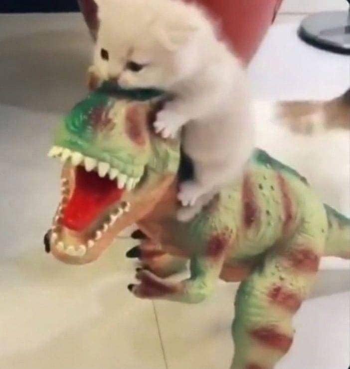 Menjambak phi <a href="/oueijja/">ou🦖</a> /? 😼