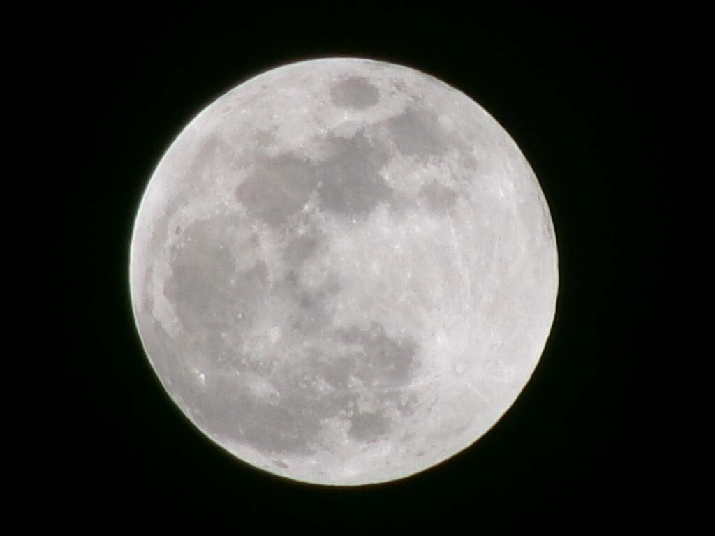 ✨Ryan✨ tweet media