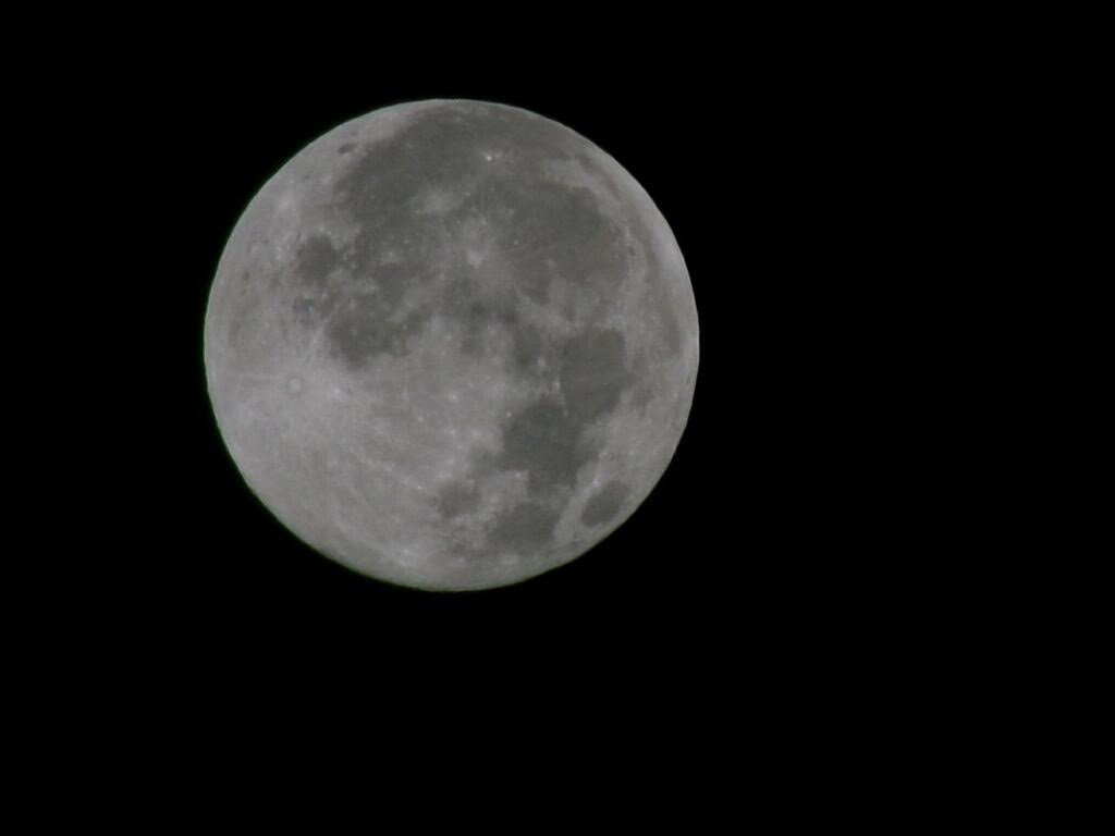 ✨Ryan✨ tweet media