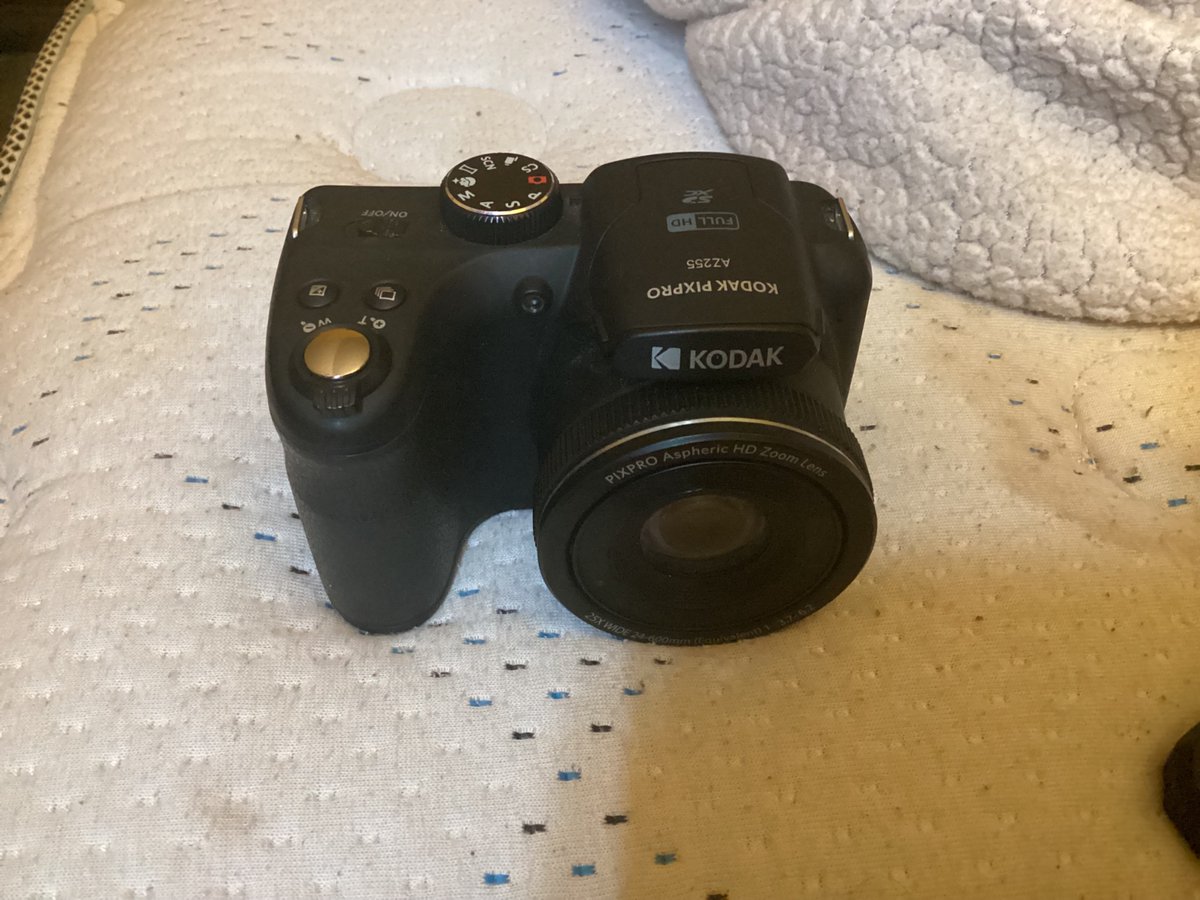 ✨Ryan✨ tweet media