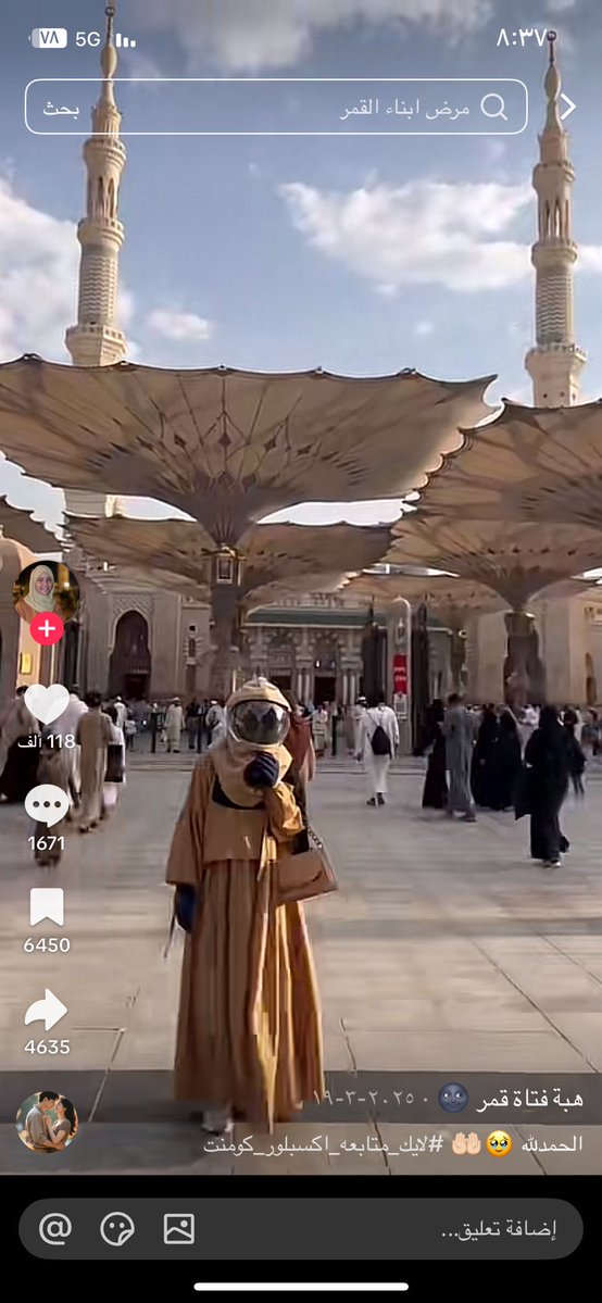 ฅ•ω•ฅ tweet media