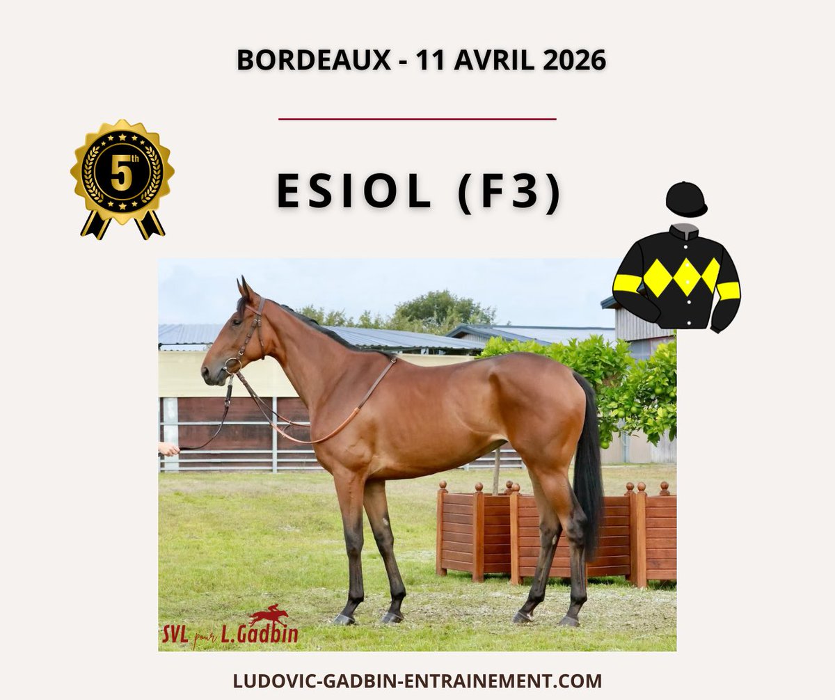 Ludovic Gadbin tweet media