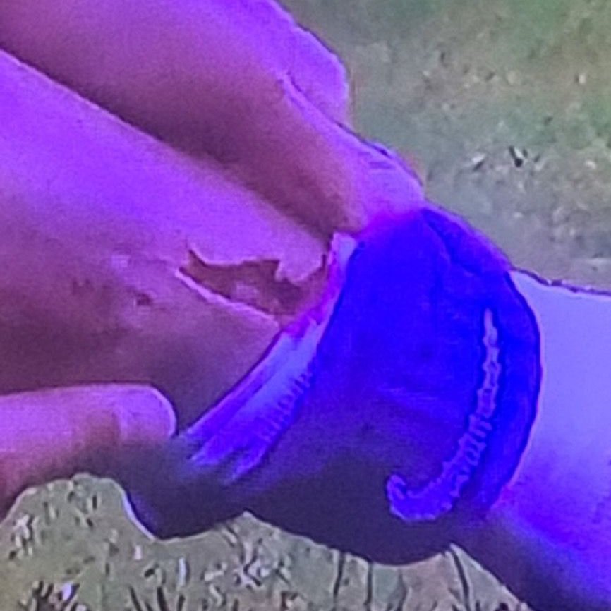 MartijnSchwill's tweet photo. Ik sprak vandaag mensen die gevalletje Hubner/Holtby rood voor de Fortunees vonden. Waarmee ik de bevestiging kreeg dat NAC-supporters idd veel bier drinken (blijkbaar al vroeg op de middag). Of ze ook kut riepen toen Manschot en VAR terecht niets deden, weet ik niet. #FORnac https://t.co/2cSvUQogtB