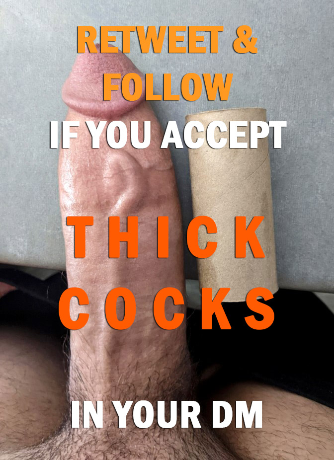 Big Thick Dream tweet media