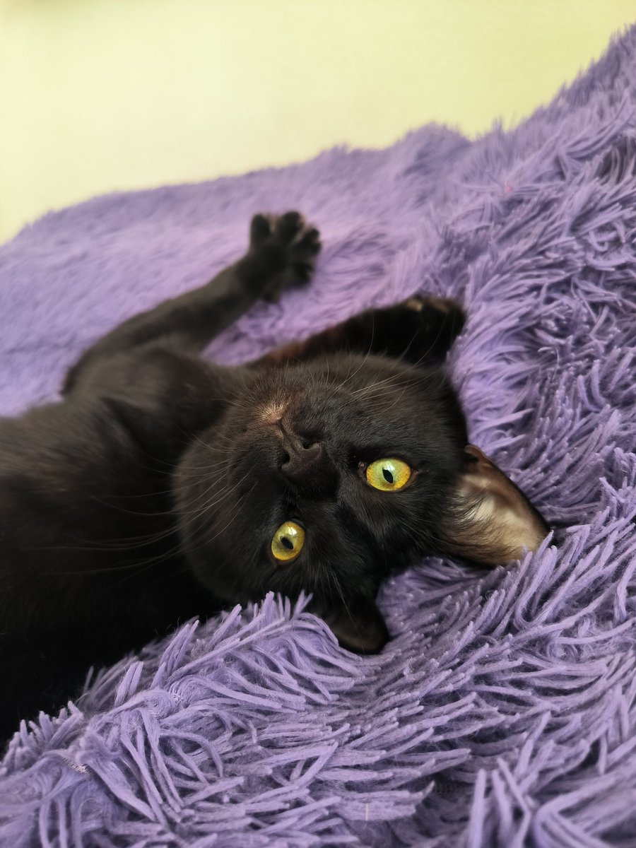 fire_whiskey tweet media