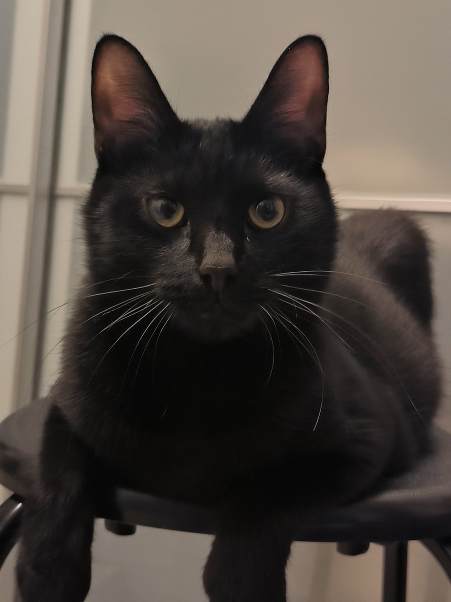 fire_whiskey tweet media