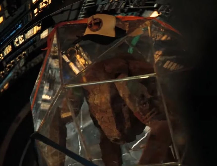 THE HATS !! Can we just appreciate how Grace dressed him up even tho he was in a ball?! Making sure he didn’t feel left out🥹