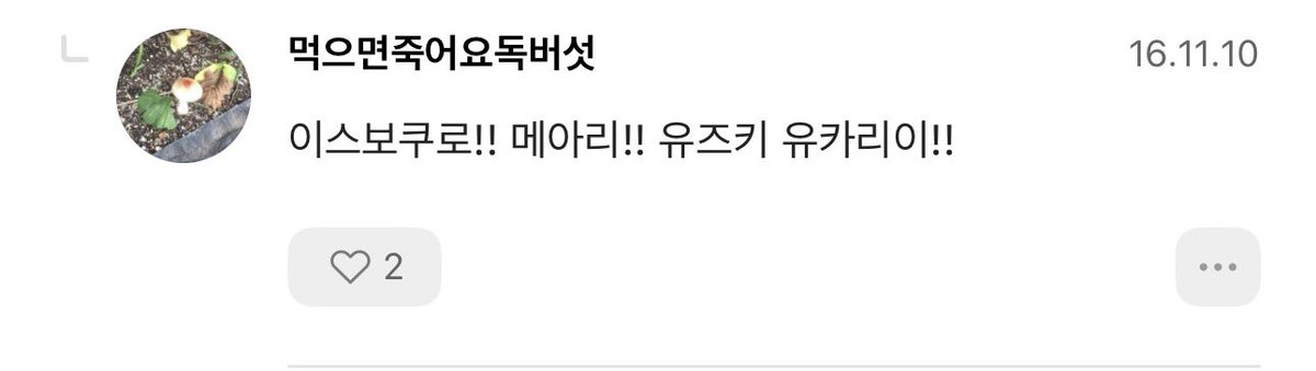 꼬깔콘의 됴됴됴 tweet media