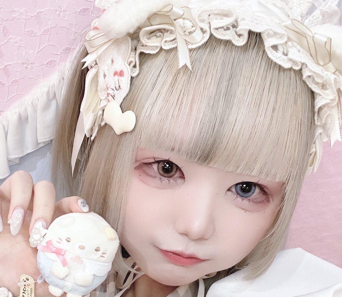 はてなねこ❕ tweet media