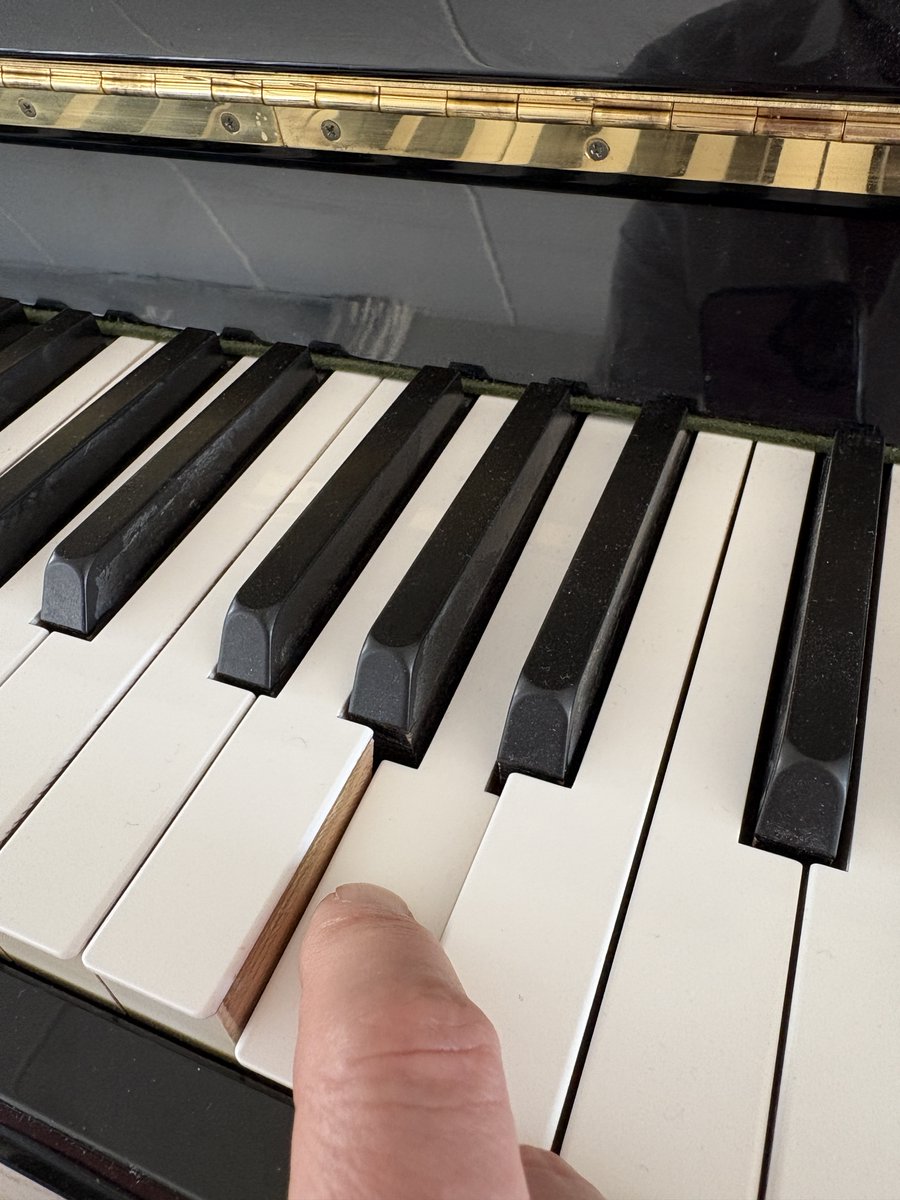 🧱 Songs Of Eden 🎵 MiDi Punkz Fam tweet media