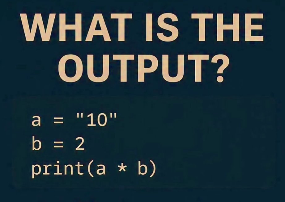 Python Programming tweet media