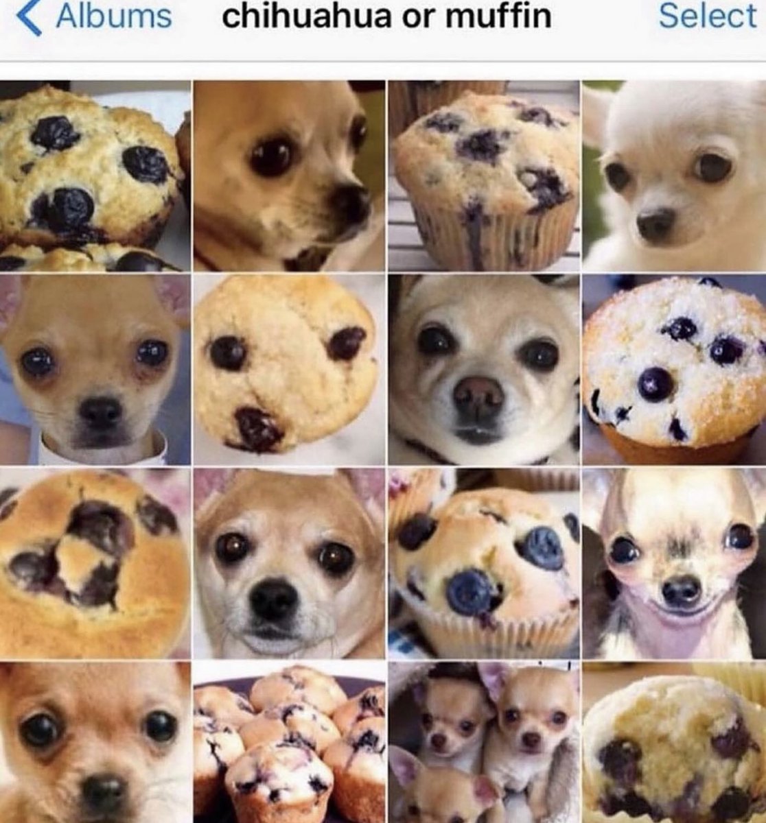 i like food tweet media
