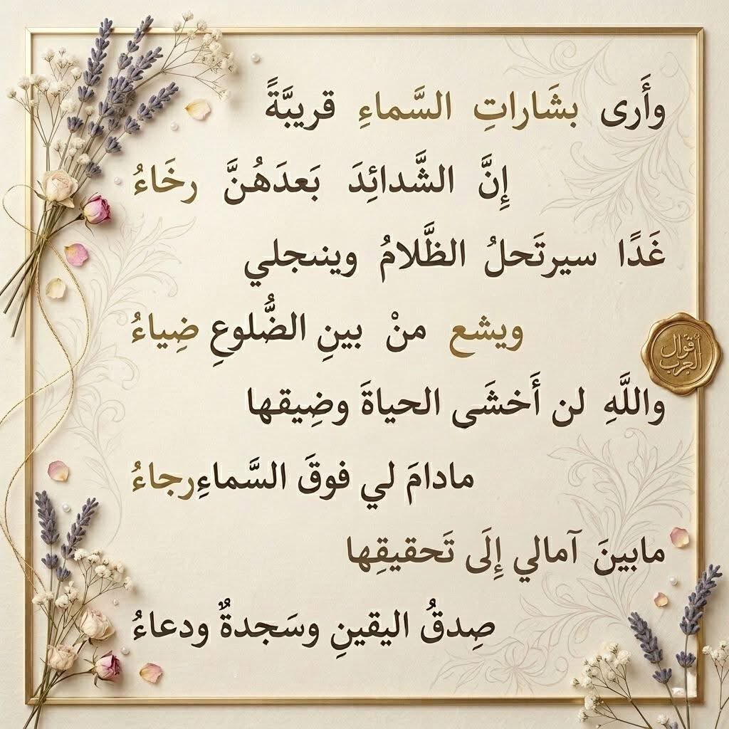 منال بربر manal tweet media