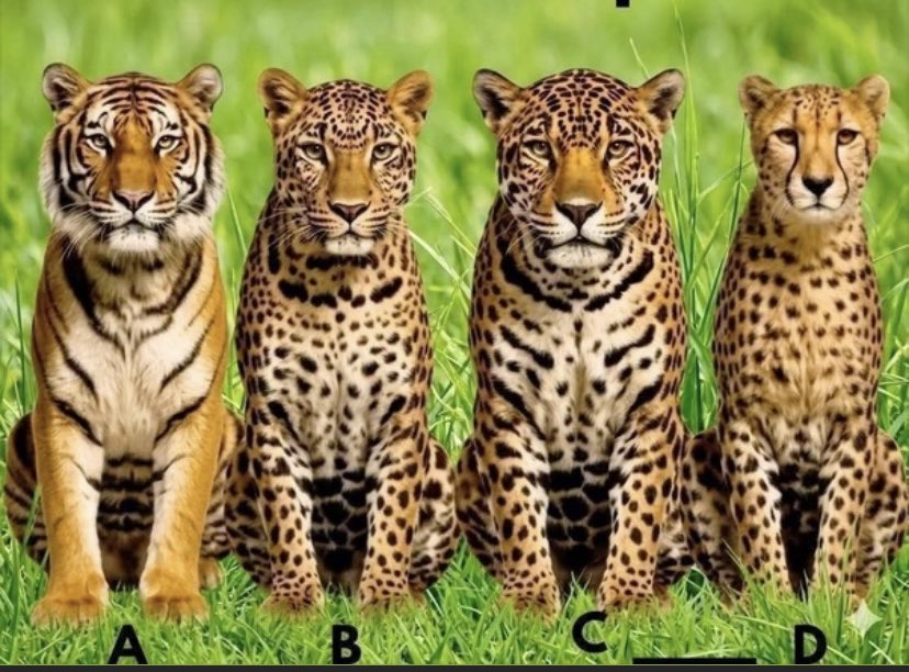 Itsqueen👸 tweet media