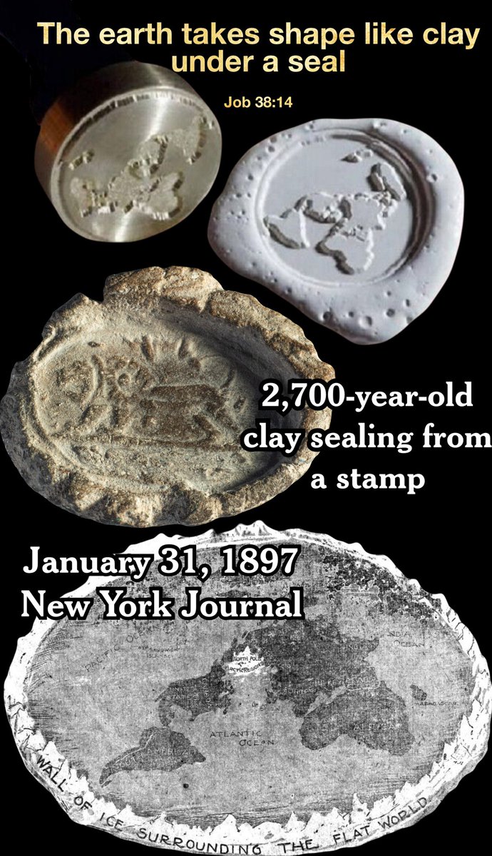 ChangedWarrior tweet media