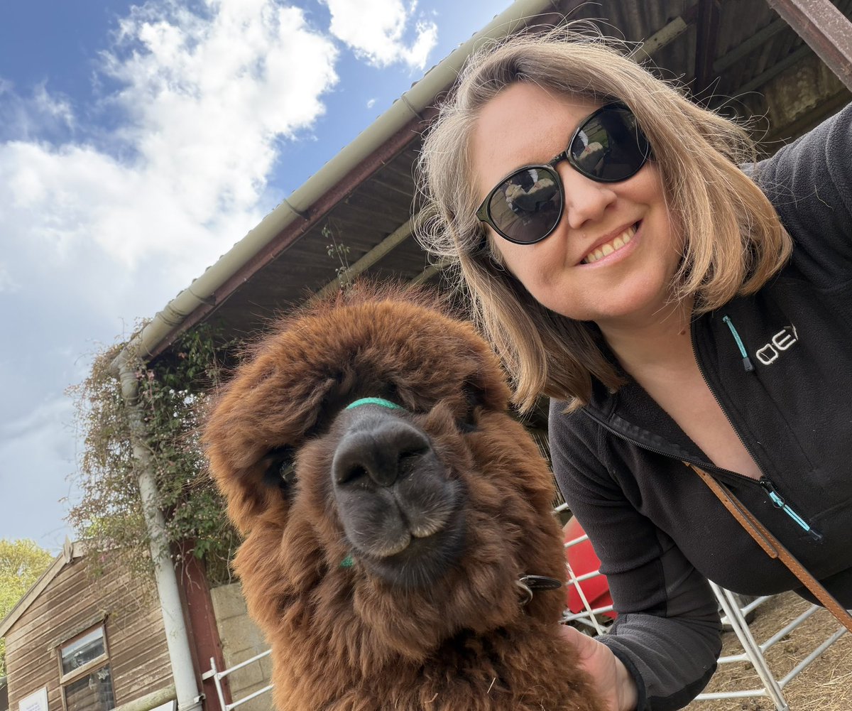 ENortonHistory's tweet image. Selfie with a baby alpaca named Peanut 🦙 ❤️ #alpaca #alpacas